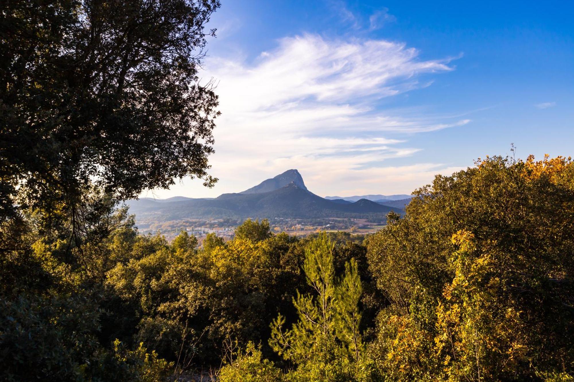 Domaine De Bonelli Hotel Conqueyrac Luaran gambar